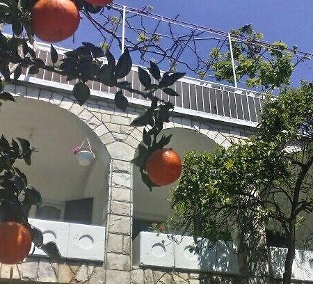 House Orange Apartments 헤르섹 외부 사진
