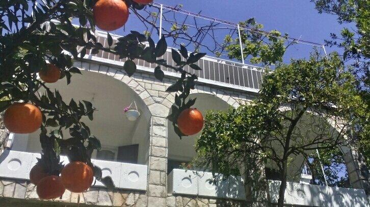 House Orange Apartments 헤르섹 외부 사진